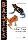 Poison Frogs – The Small Species