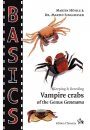 Vampire Crabs of the Genus Geosesama