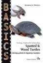 Spotted & Wood Turtles (Clemmys guttata & Glyptemys insculpta)