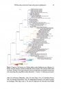 ZooKeys 538: Genetic and Cytogenetic Structure of Biological Diversity in Insects