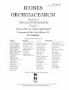 Icones Orchidacearum, Fascicle 14