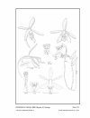Icones Orchidacearum, Fascicle 15(2)
