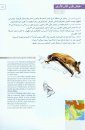 Field Guide to the Mammals of the Middle East [English / Arabic]