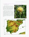 Las Especies del Género Centaurea en la Península Ibérica y Baleares [Species of the Genus Centaurea in the Iberian Peninsula and the Balearic Islands]