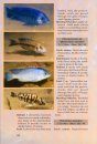 Back to Nature Guide to Malawi Cichlids