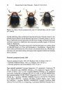 ZooKeys 547: Research on Chrysomelidae, Volume 5