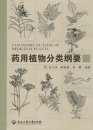 Taxonomic Outline of Medicinal Plants [Chinese]