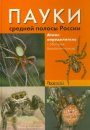 Pauki Srednei Polosy Rossii: Atlas-Opredelitel' [Spiders of Middle Russia: An Illustrated Guide]