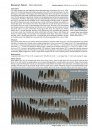 Atlas of Feathers for Western Palearctic Birds (Passerines) - Concise Edition
