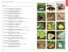 A Field Guide to Insects & Spiders of Kanha Tiger Reserve