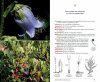 Guide de la Flore des Alpes Françaises [Guide to the Flora of the French Alps]