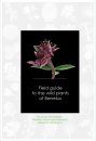 Field Guide to the Wild Plants of Benelux