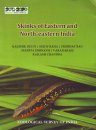Skinks of Eastern and North-Eastern India