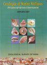Catalogue of Marine Molluscs: Polyplacophora and Gastropoda