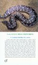 A Pictorial Handbook on Some Lizards and Snakes of Western Ghats