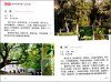 Ornamental Trees Identification Manual (North China) [Chinese]