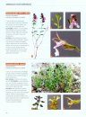 Dictionnaire Visuel des Plantes de la Garrigue et du Midi [Visual Dictionary of Plants of the Garrigue and the South]