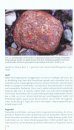 Steine an Deutschen Küsten: Finden und Bestimmen [Rocks on Germany's Coasts: Finding and Identifying]