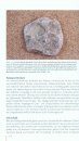 Steine an Deutschen Küsten: Finden und Bestimmen [Rocks on Germany's Coasts: Finding and Identifying]