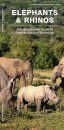 Elephants and Rhinos