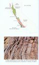 Roadside Geology of Northern and Central California