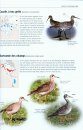 Tous les Oiseaux Rares d'Europe [All the Rare Birds of Europe]