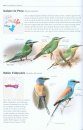Tous les Oiseaux Rares d'Europe [All the Rare Birds of Europe]