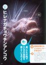 Shinkai no Seibutsu [Deep Sea Creatures]