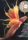Shinkai no Seibutsu [Deep Sea Creatures]