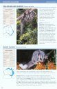 Field Guide to Australian Mammals