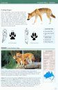 Field Guide to Australian Mammals