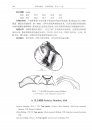 Fauna Sinica Invertebrata, Volume 56: Mollusca, Gastropoda, Strombacea & Naticacea [Chinese]