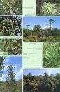 A Handbook of the World's Conifers (2-Volume Set)
