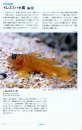 Gobies of Japanese Waters [Japanese]