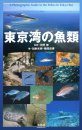 A Photographic Guide to the Fishes in Tokyo Bay [Japanese]