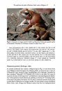 ZooKeys 624: The Amphibians and Reptiles of Mindanao Island, Southern Philippines, II