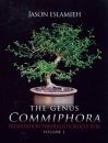 The Genus Commiphora