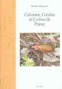 Calosoma, Carabus et Cychrus de France [Calosoma, Carabus and Cychrus of France]