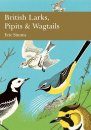 British Larks, Pipits and Wagtails