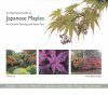An Illustrated Guide to Japanese Maples for Garden Planting and Patio Pots