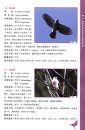 A Field Guide to the Birds of Qinling Mountains [Chinese]