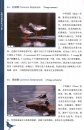 A Field Guide to the Birds of Qinling Mountains [Chinese]
