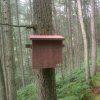 Pine Marten Den Box