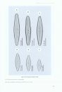The Diatom Flora of Australia, Volume 1: Diatoms from Stradbroke and Fraser Island, Australia