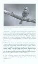 Cuándo y Dónde Ver Aves en Baleares [When and Where to See Birds in the Balearic Islands]