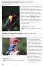 Birds of Goa