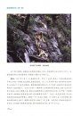 A Field Study of the Society of Rhinopithecus roxellanae [Chinese]