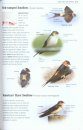 Birds of Europe, North Africa, and the Middle East