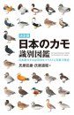 An Identification Guide to the Ducks of Japan [Japanese]