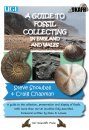 A Guide to Fossil Collecting in England and Wales